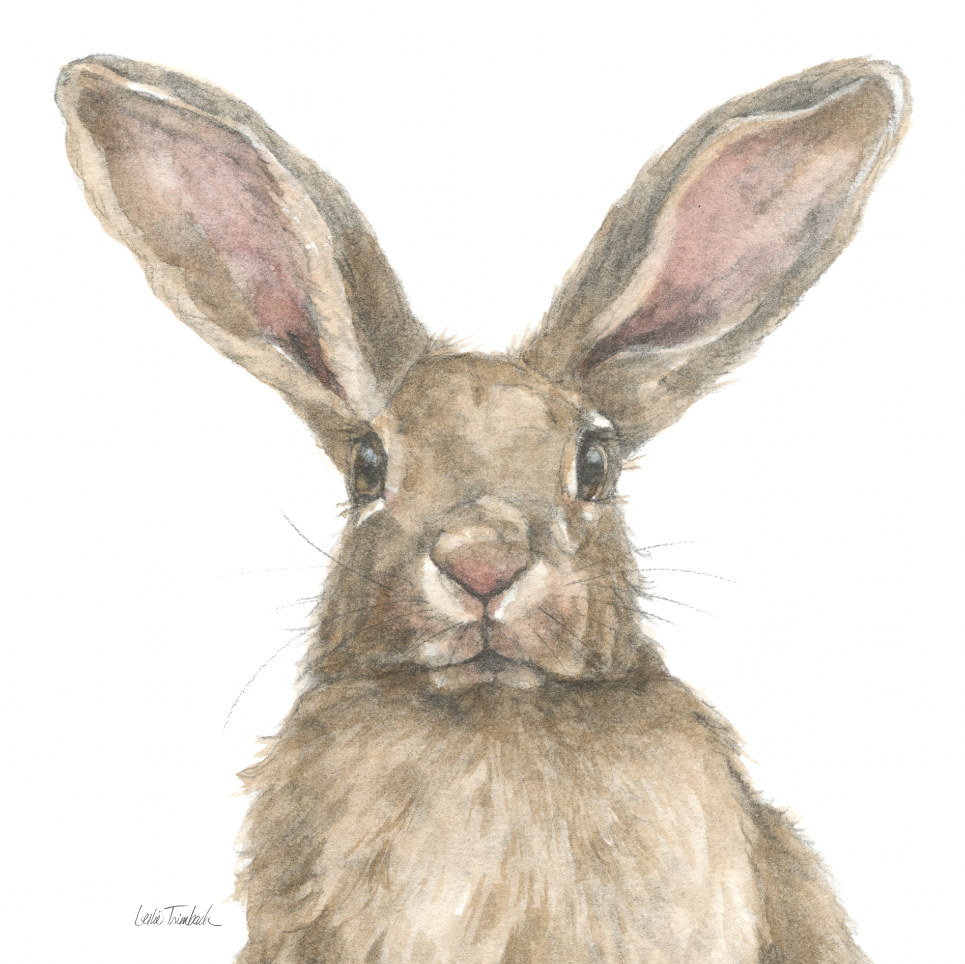 Screenshot 2026-02-20 at 11.09.13 AM.png