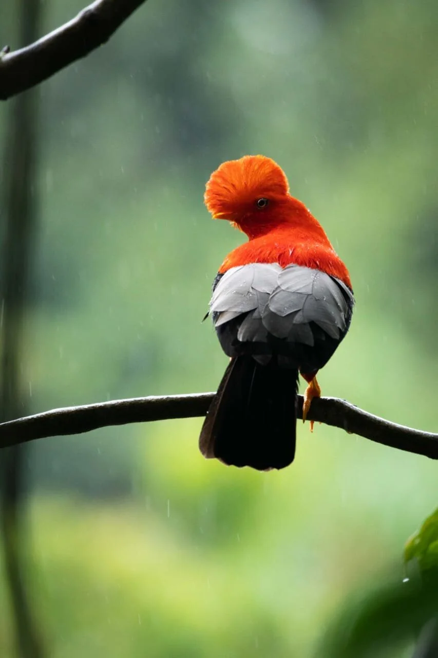 WhatsApp Image 2021-03-10 at 11.45.55 AM.jpeg