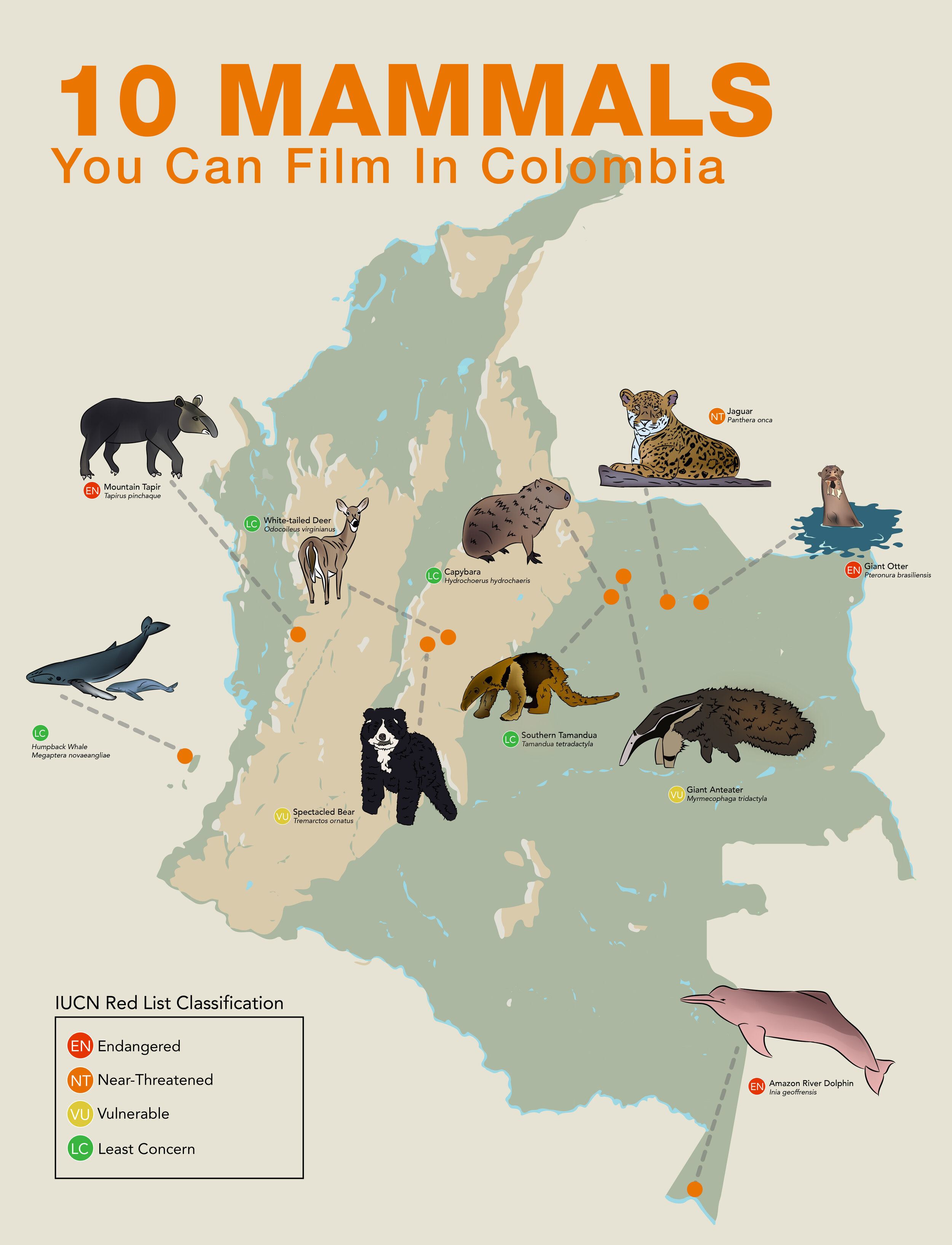 Here Are The Top 10 Mammals You Can Film In Colombia — WhereNext