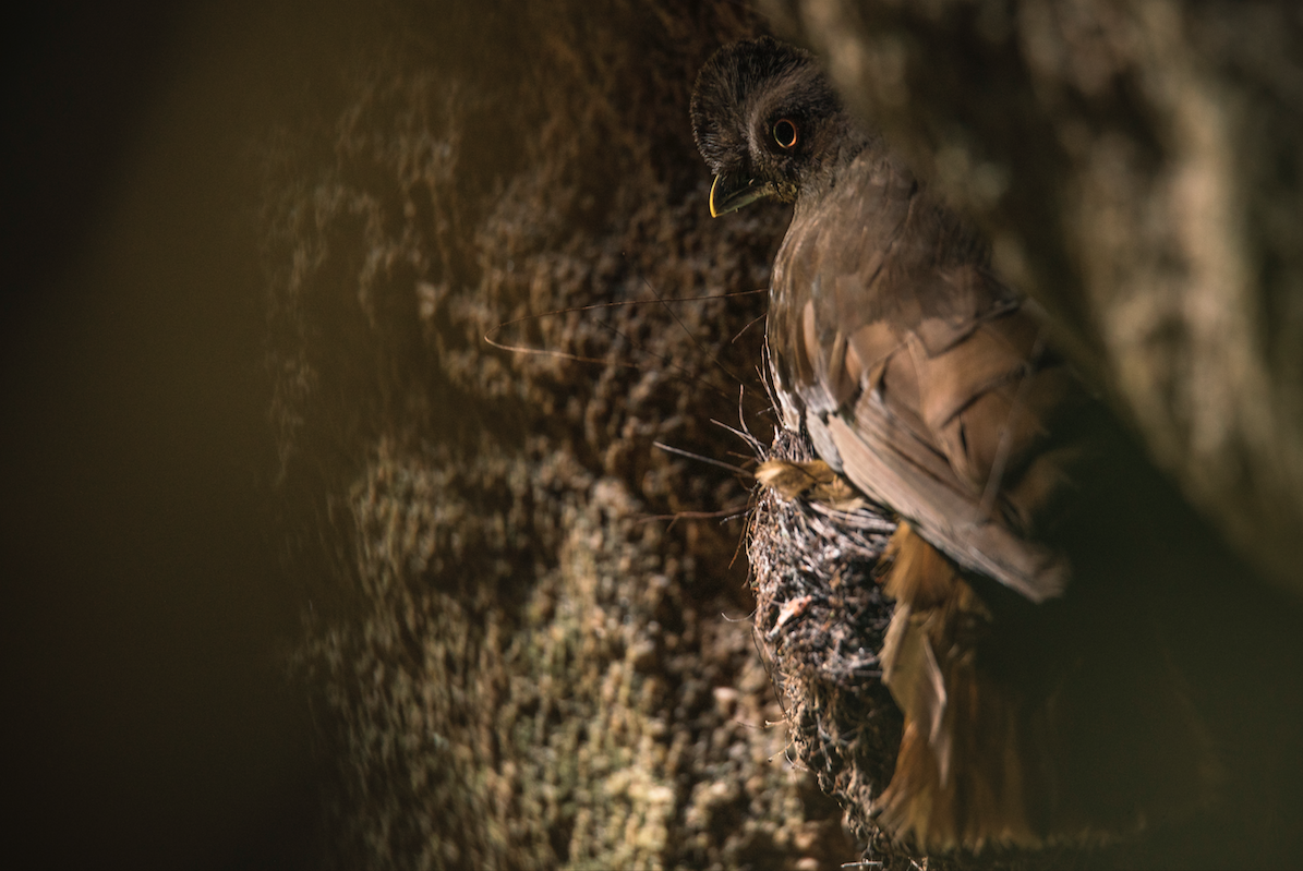 Captura de pantalla 2020-05-07 a las 11.33.40 a.m..png