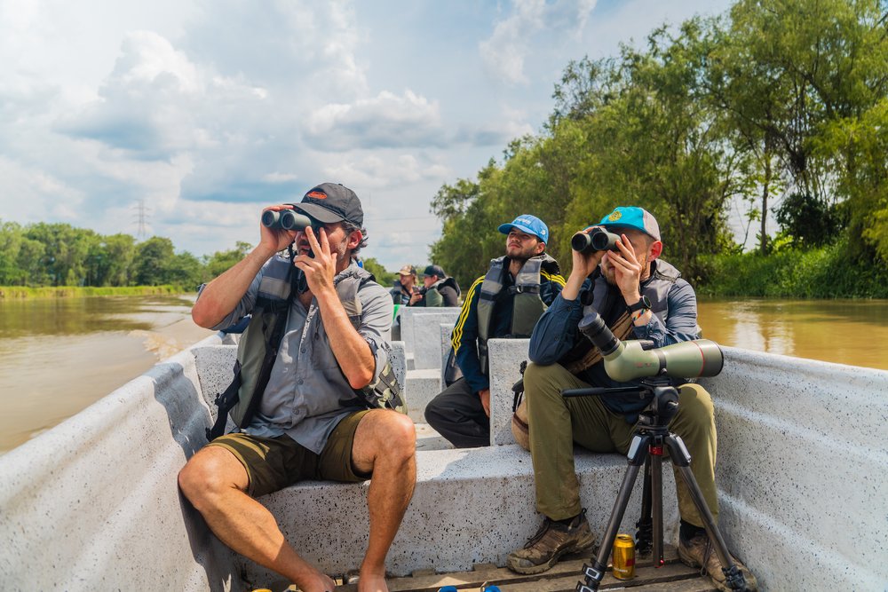 The-birders-show-champions-of-the-flyway