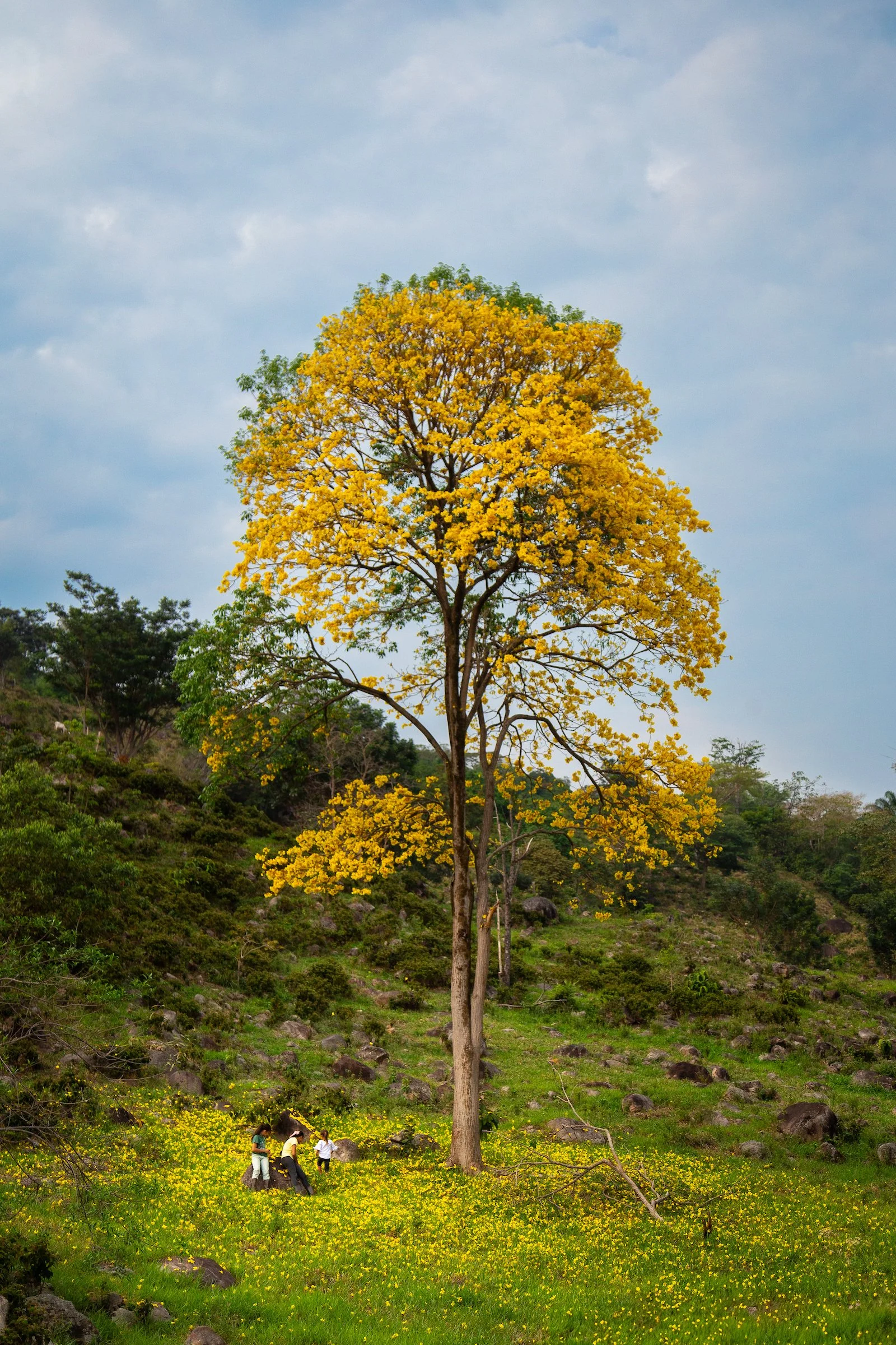 Parientes: The Human Stories Behind Colombia’s Eastern Plains