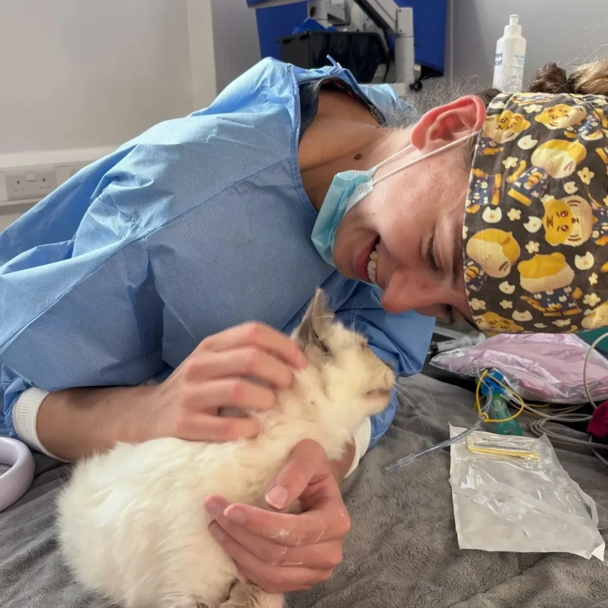 Cat Treatment