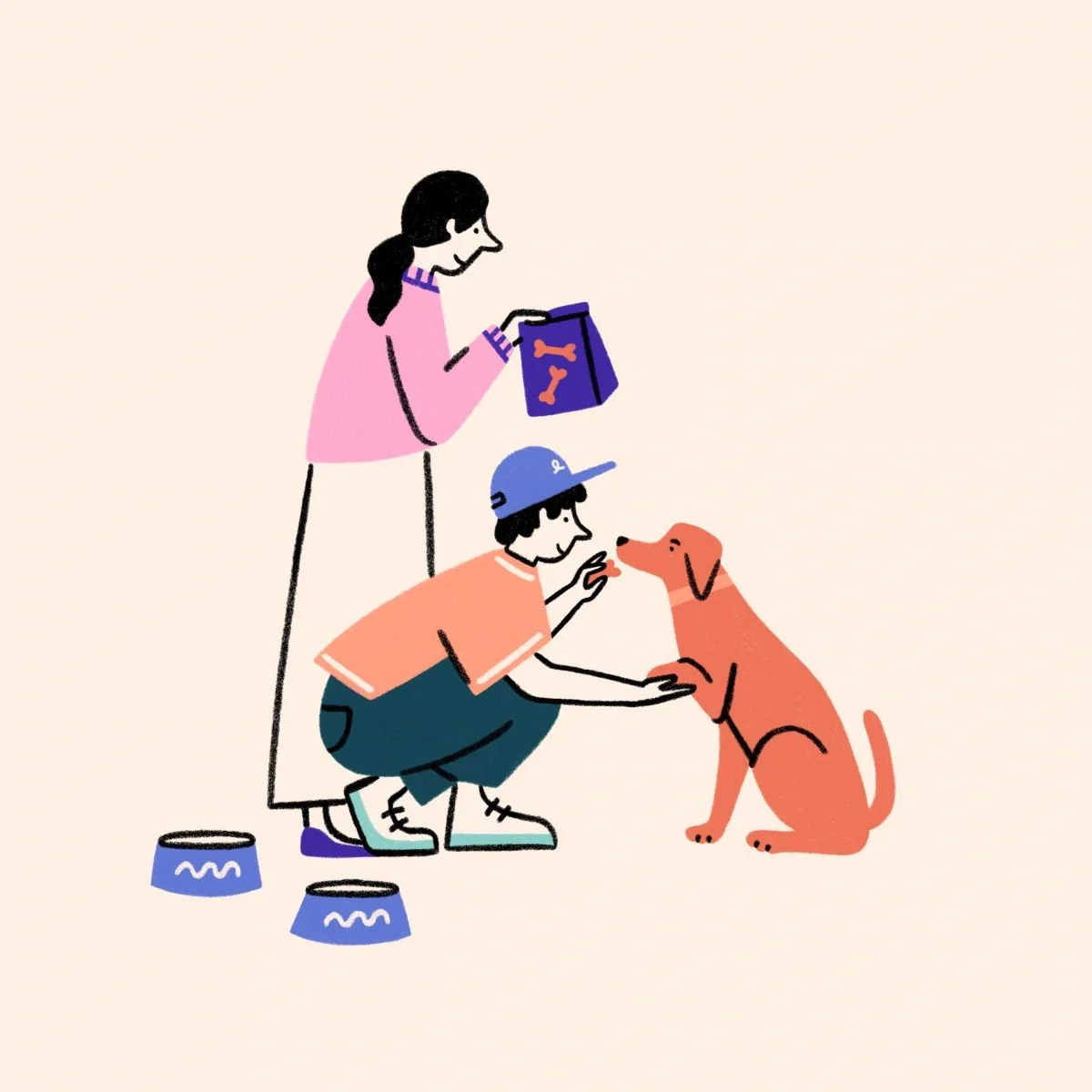 Dog care by Vets