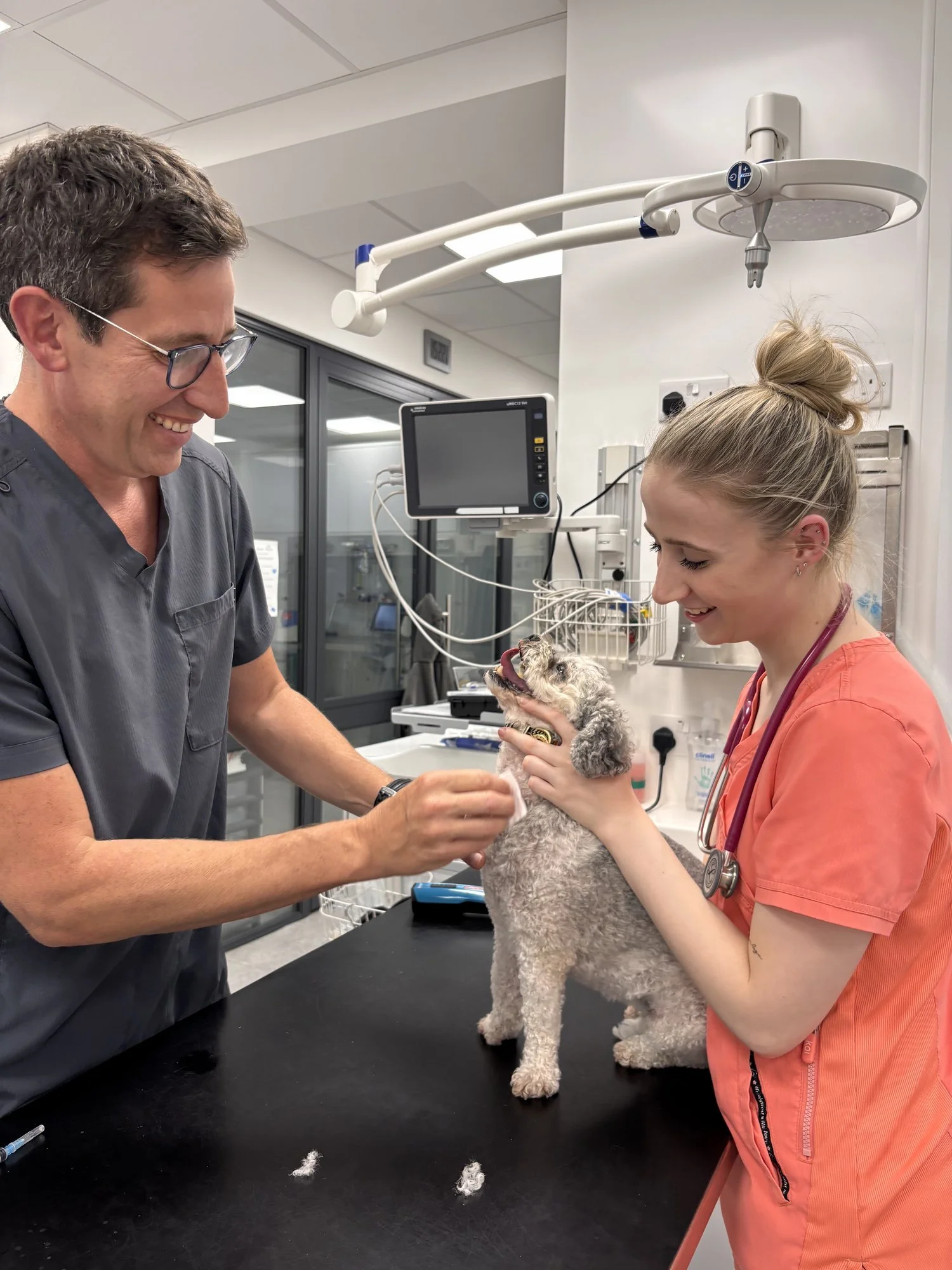 A vet and nurse examining a dog at PetPeople Richmond