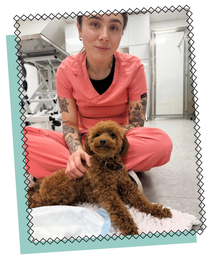 Robyn: Student Veterinary Nurse at PetPeople