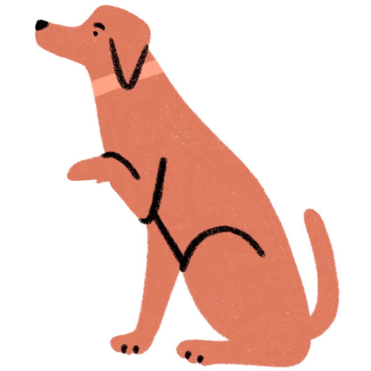 Dog - May Fair 2026