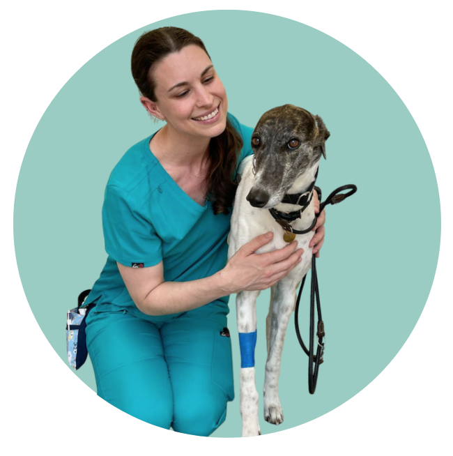 Veterinary Nurses — PET PEOPLE