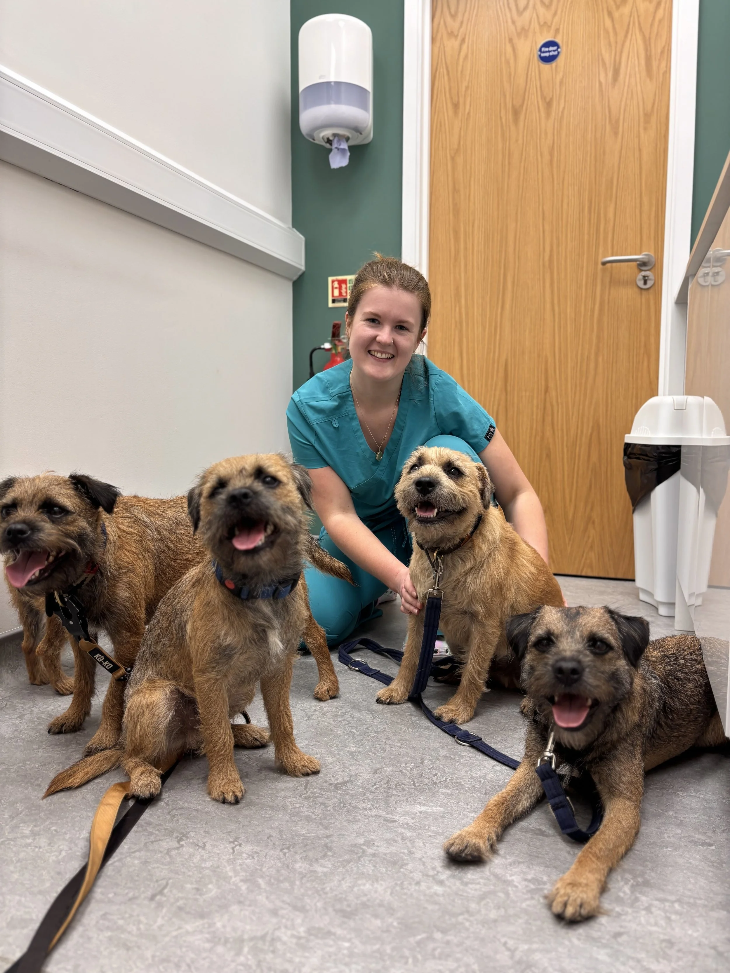 A woman holding and smiling at a black and white puppy with a collar, indoors in a cozy home setting.