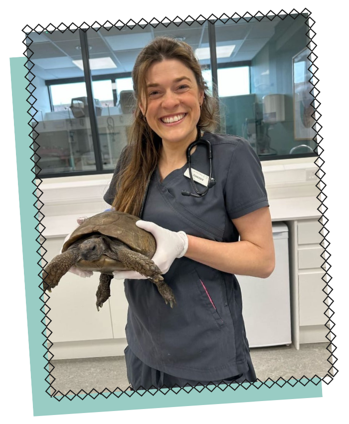 PetPeople Dr Francesca Verney
