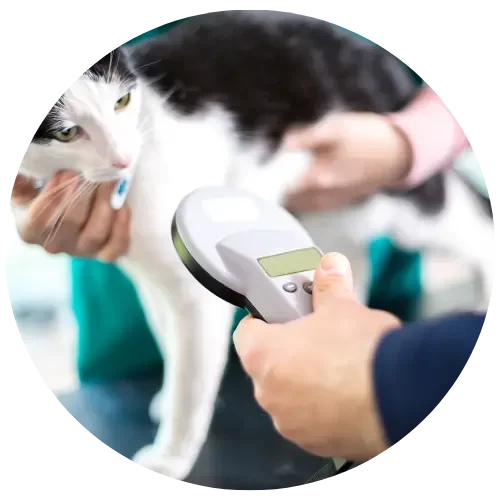 Cat microchip