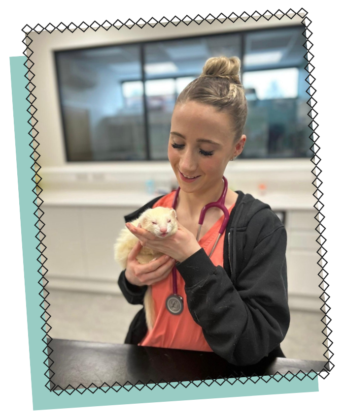 PetPeople Student Vet Nurse: Lola