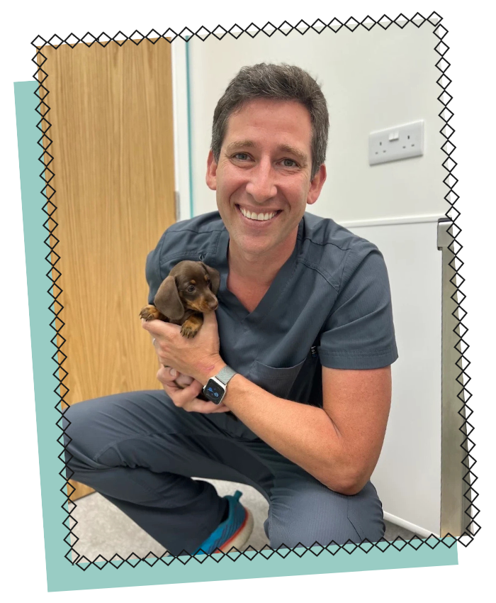 PetPeople Dr Ian Stroud