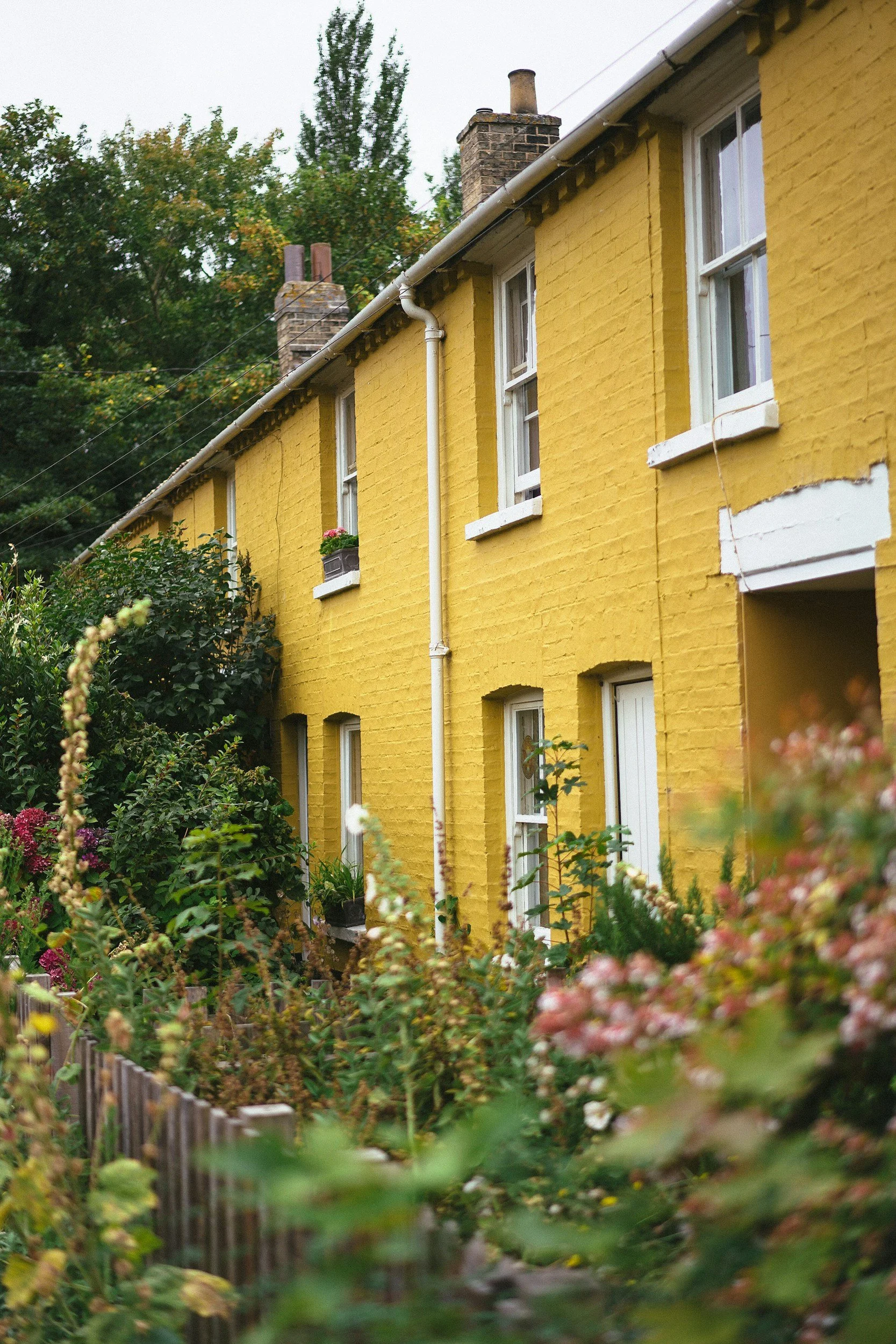Yellow house exterior