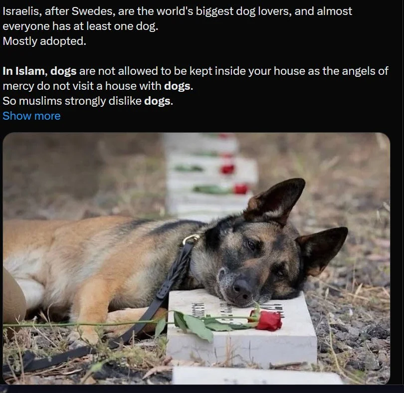 The Wisdom From Dogs