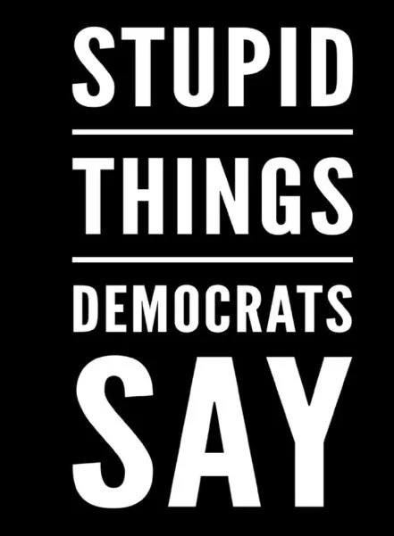 Don’t Blame Me - The Dems Really Said These Dumb Things