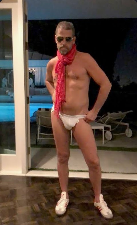 Hunter Biden, Presidential Candidate
