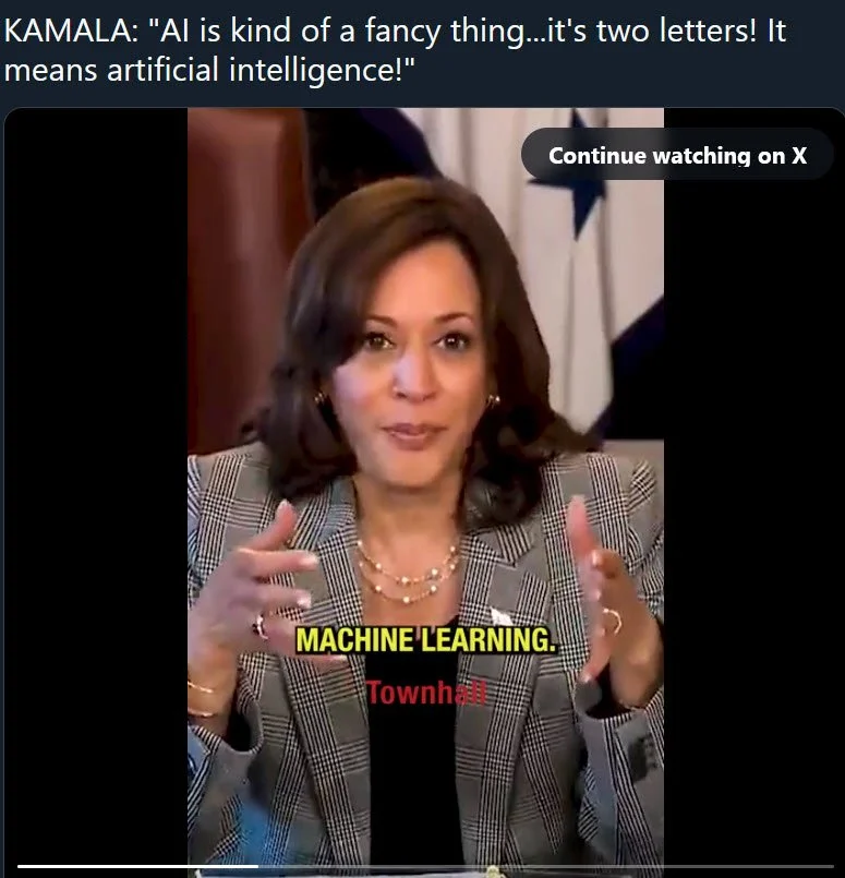 Kamala - The AI Czar