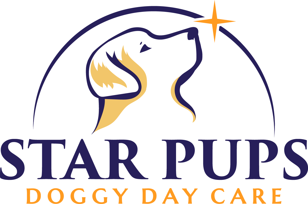 Star Pups Doggy Day Care