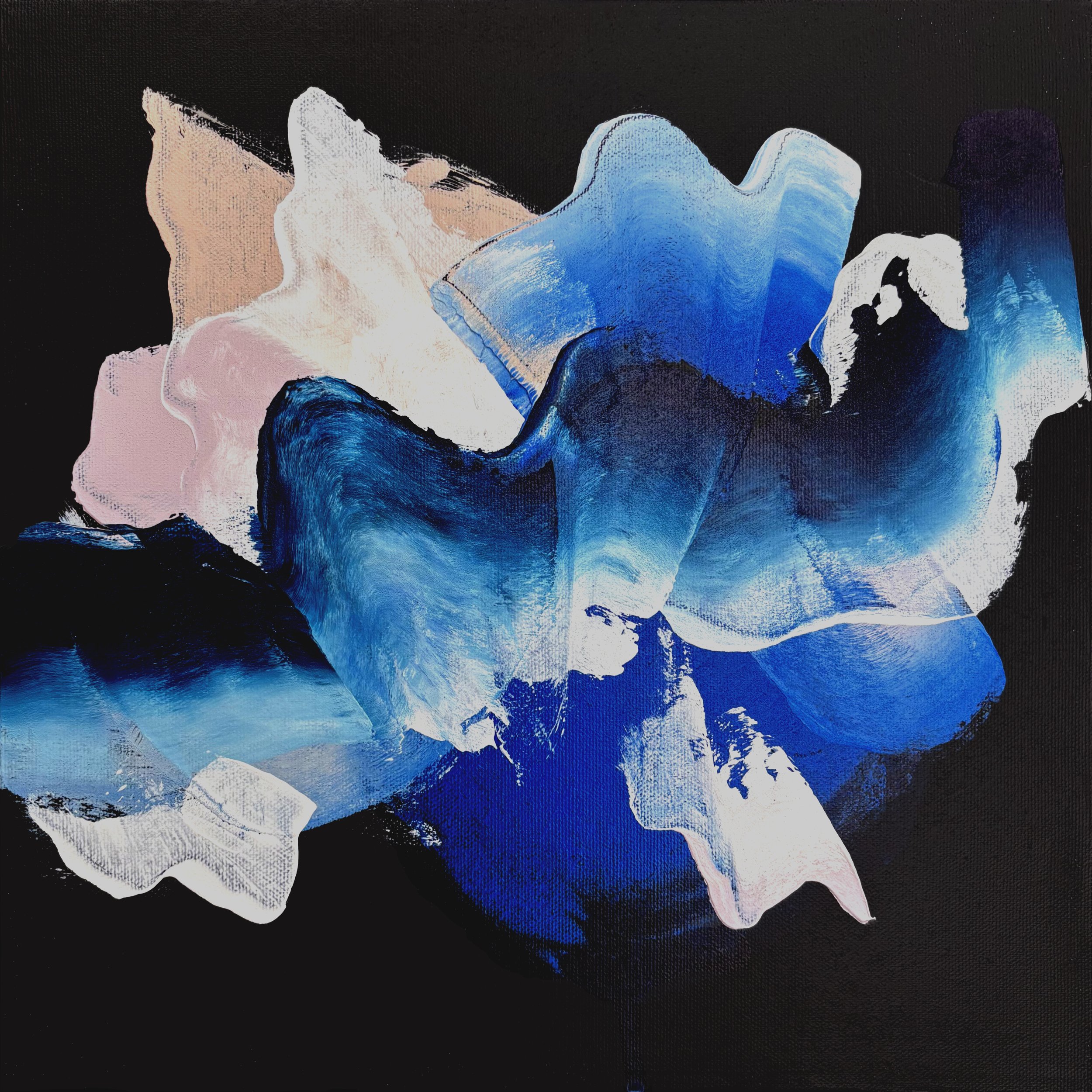 Albano_R_2025_Dive II.jpg