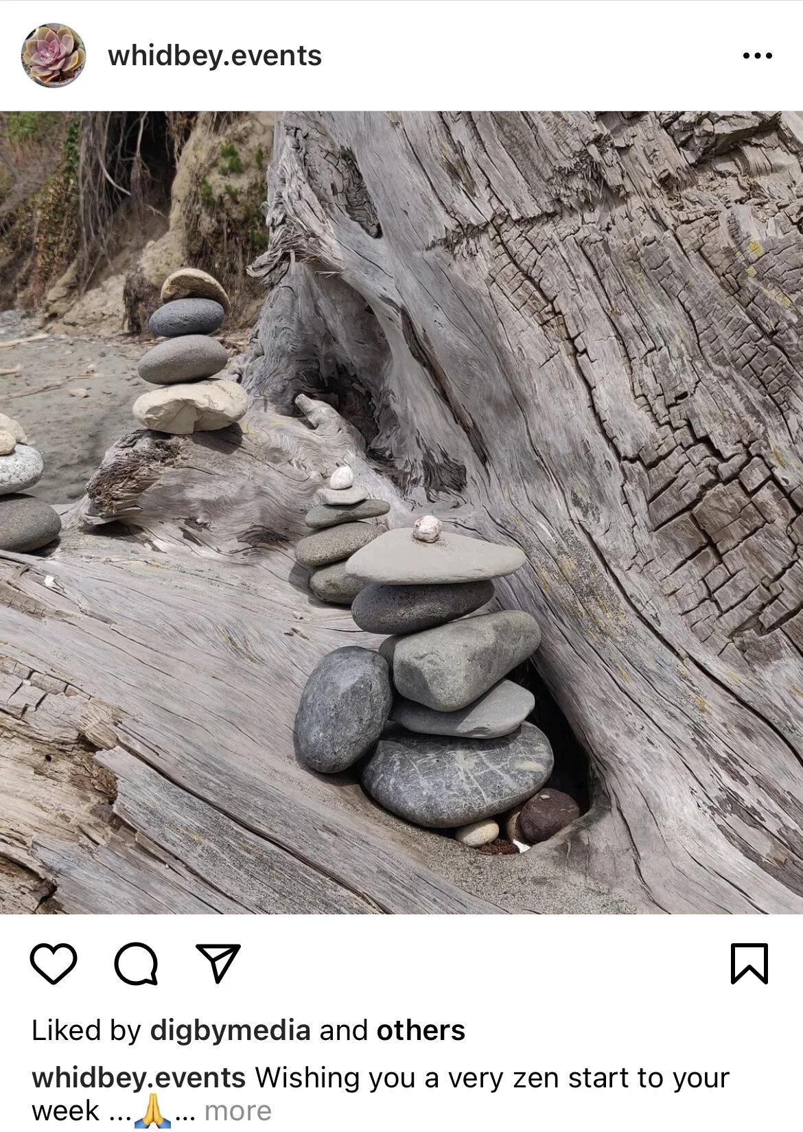 Insta WE rocks.jpg