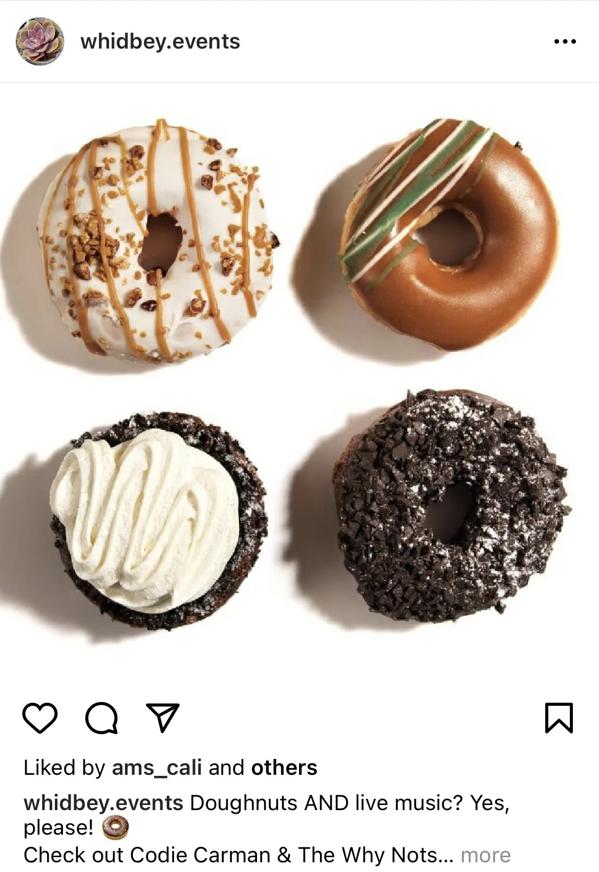 Insta WE doughnuts.jpg