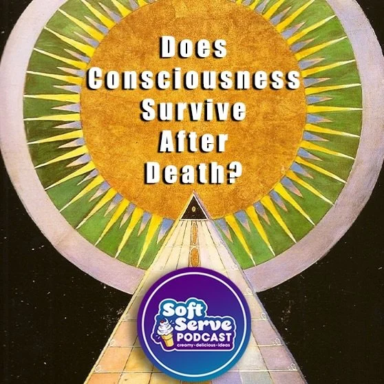 Does consciousness survive after death? It&rsquo;s one of humanity&rsquo;s oldest and most profound questions. In this episode, we explore leading theories of consciousness to examine whether consciousness ends when the brain dies, or could continue 