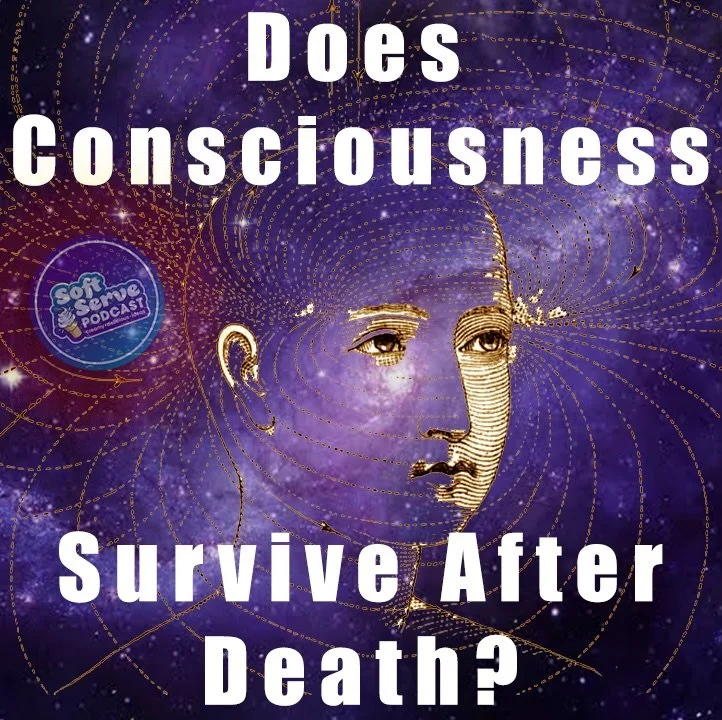 Does consciousness survive after death? It&rsquo;s one of humanity&rsquo;s oldest and most profound questions. In this episode, we explore leading theories of consciousness to examine whether consciousness ends when the brain dies, or could continue 