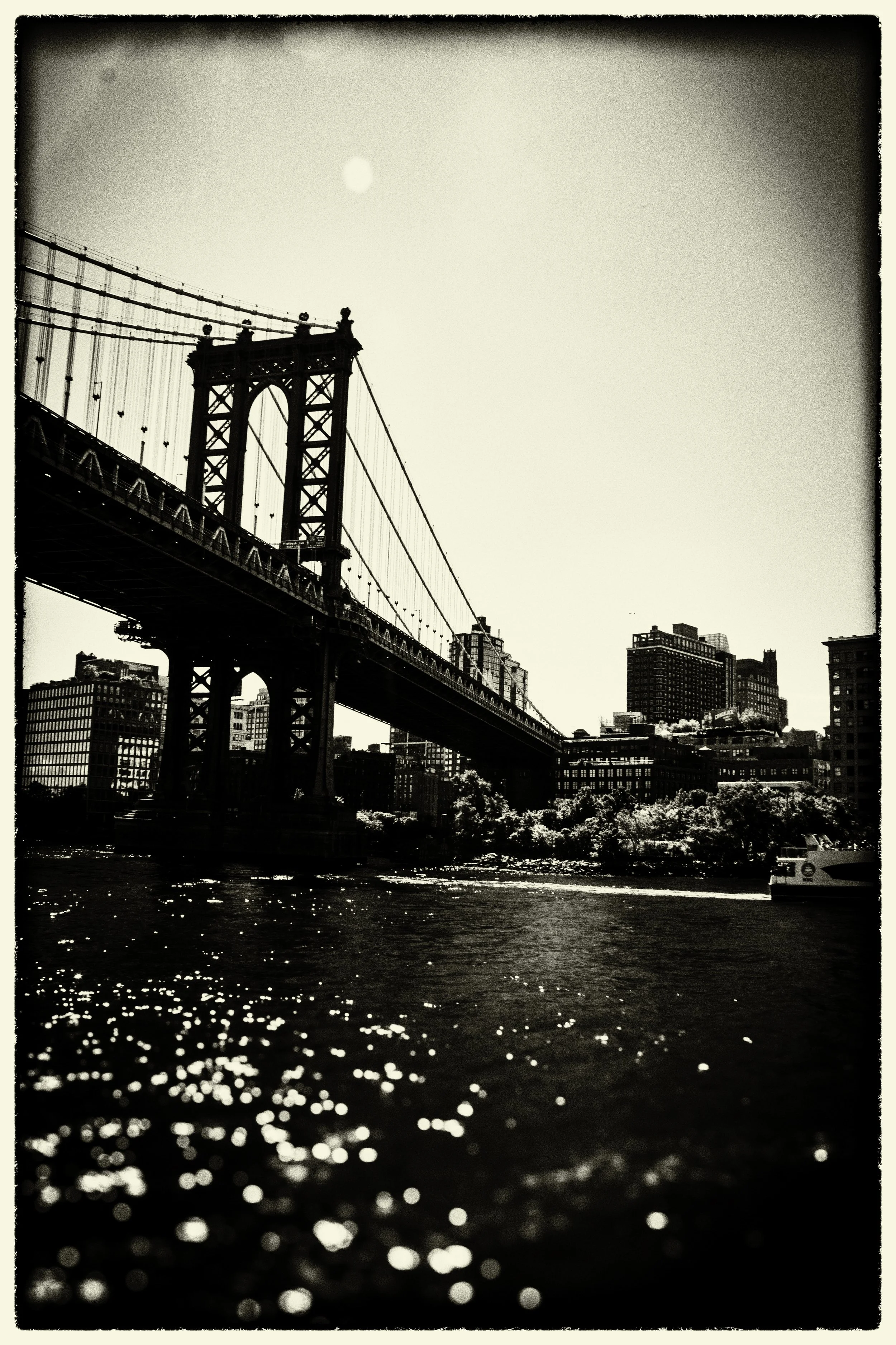 IMG_5648-Edit-Edit.jpg