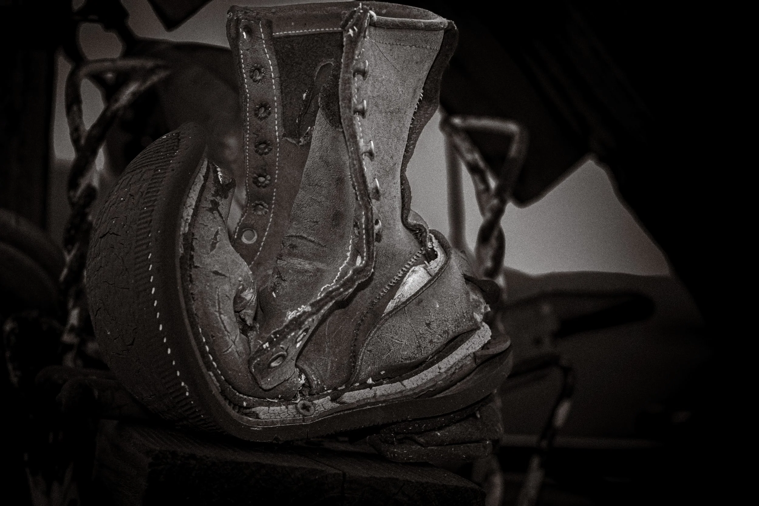 IMG_4822-Edit-Edit.jpg