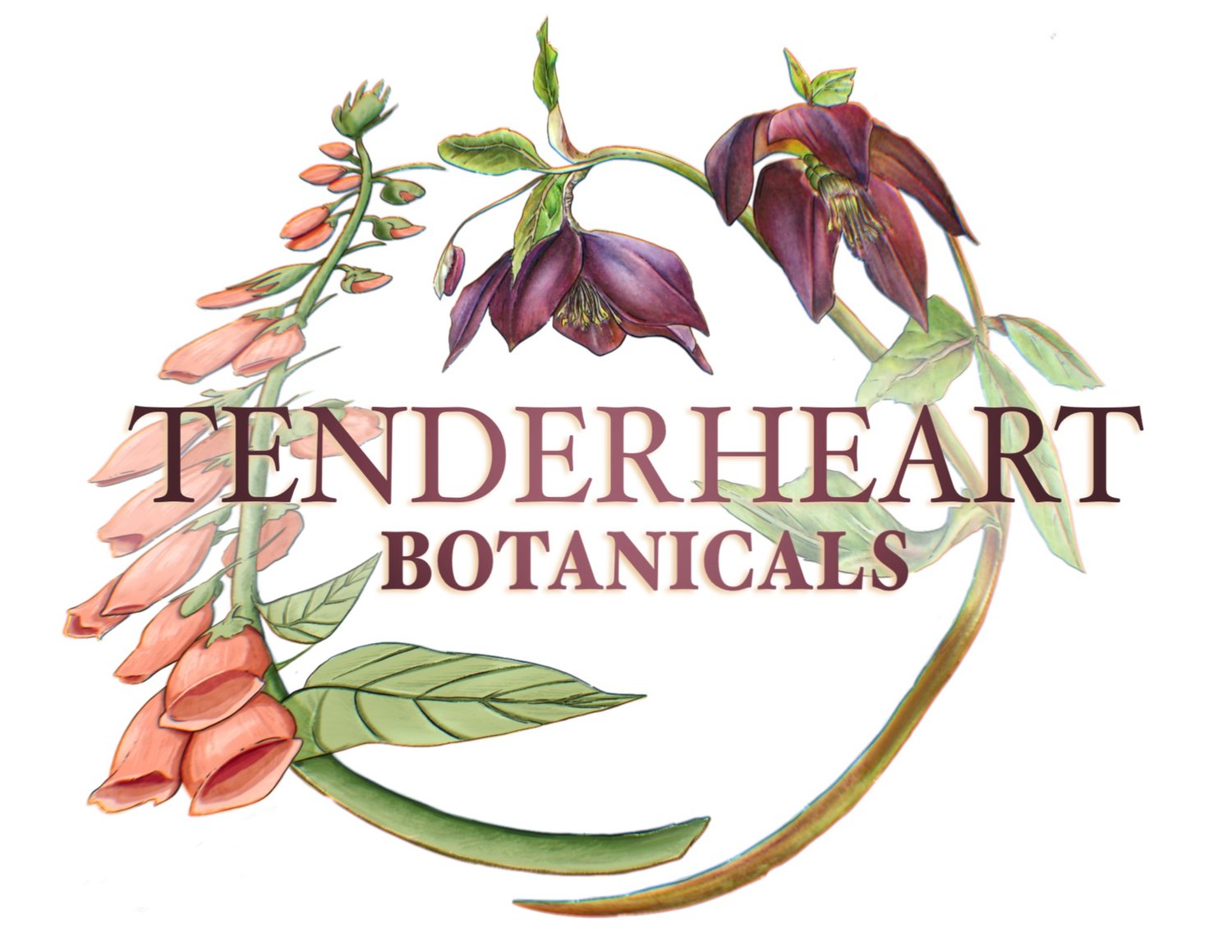 Tenderheart Botanicals Floral Design