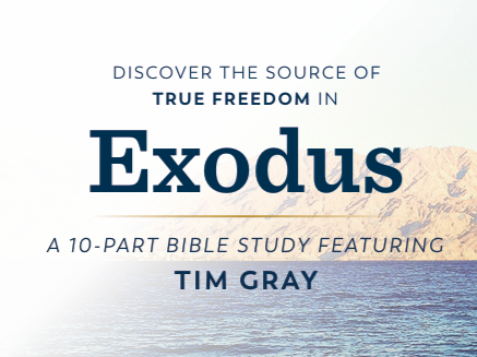 Daytime Bible Study