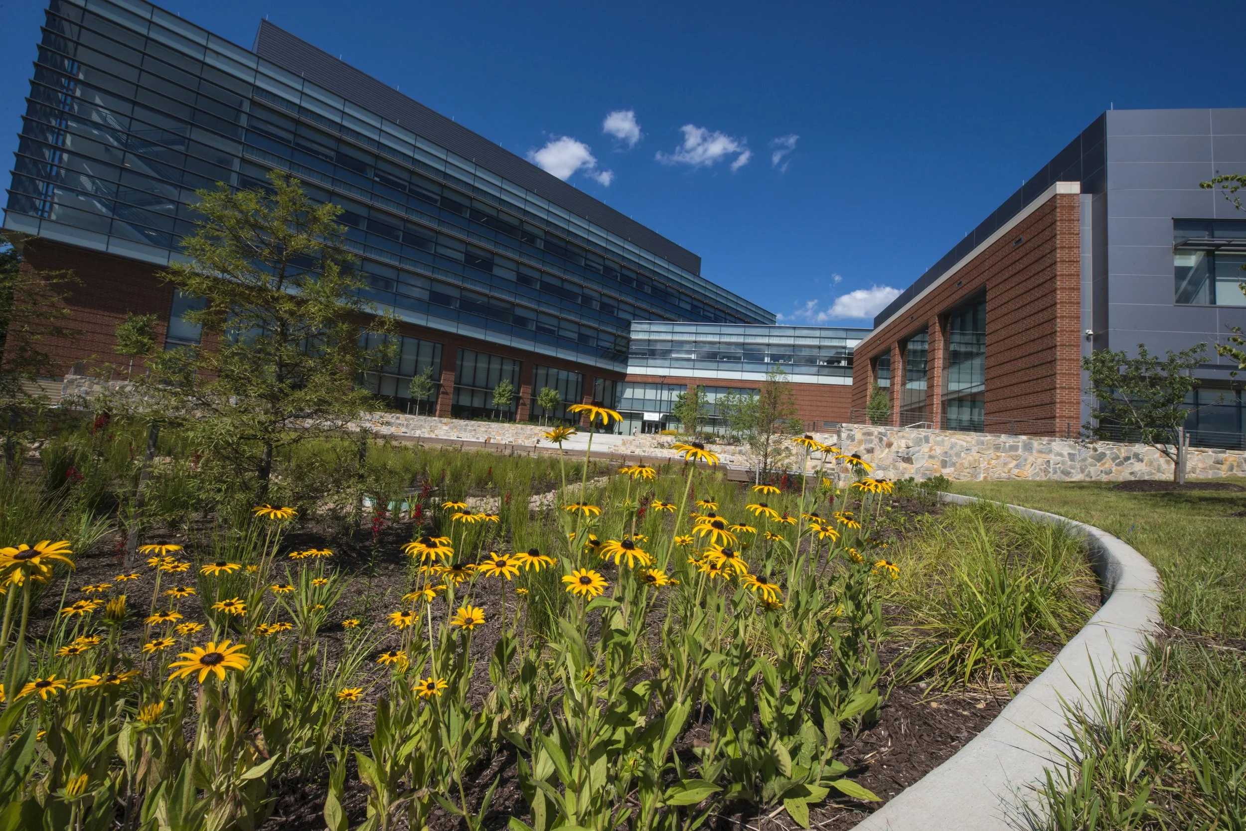 JackLab and team awarded $12.3 million to study late autism diagnosis