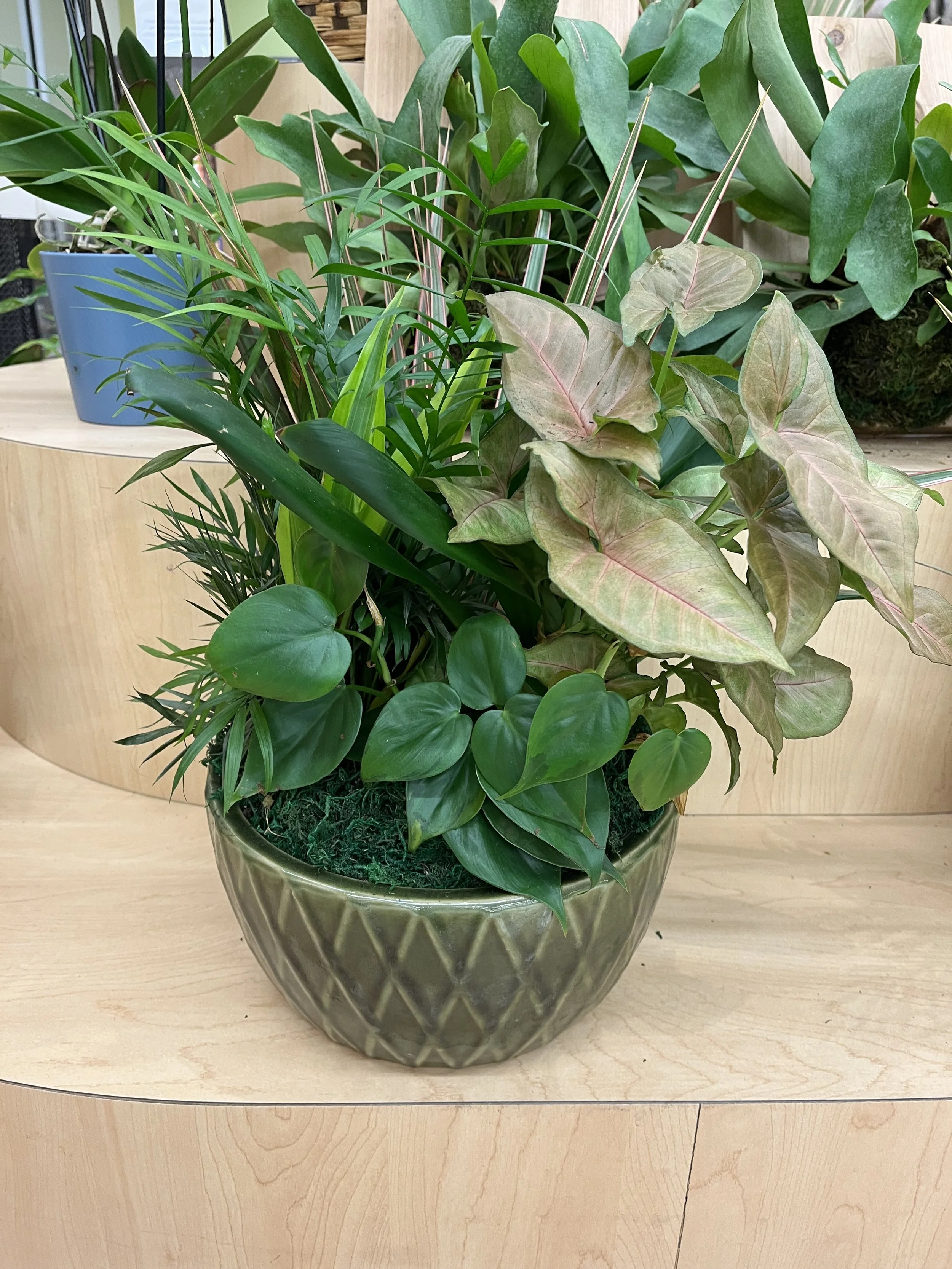 2026 AM - Ceramic Garden with Becky at Blooms in County Market- AM