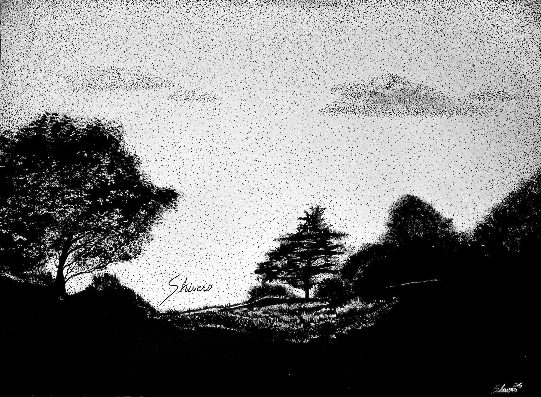 "Backyard" (2026)