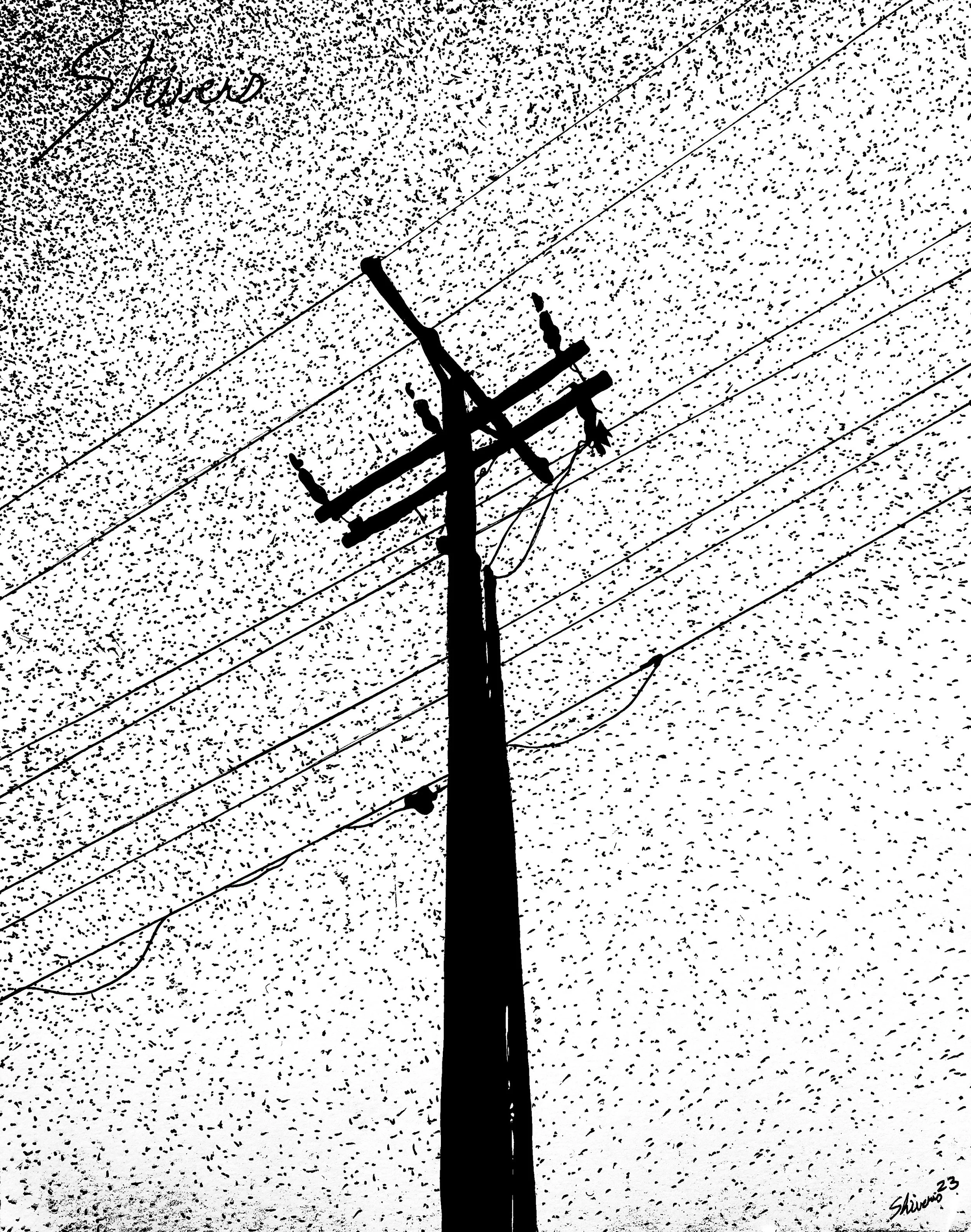 "Telephone Pole Outside My Window" (2023)