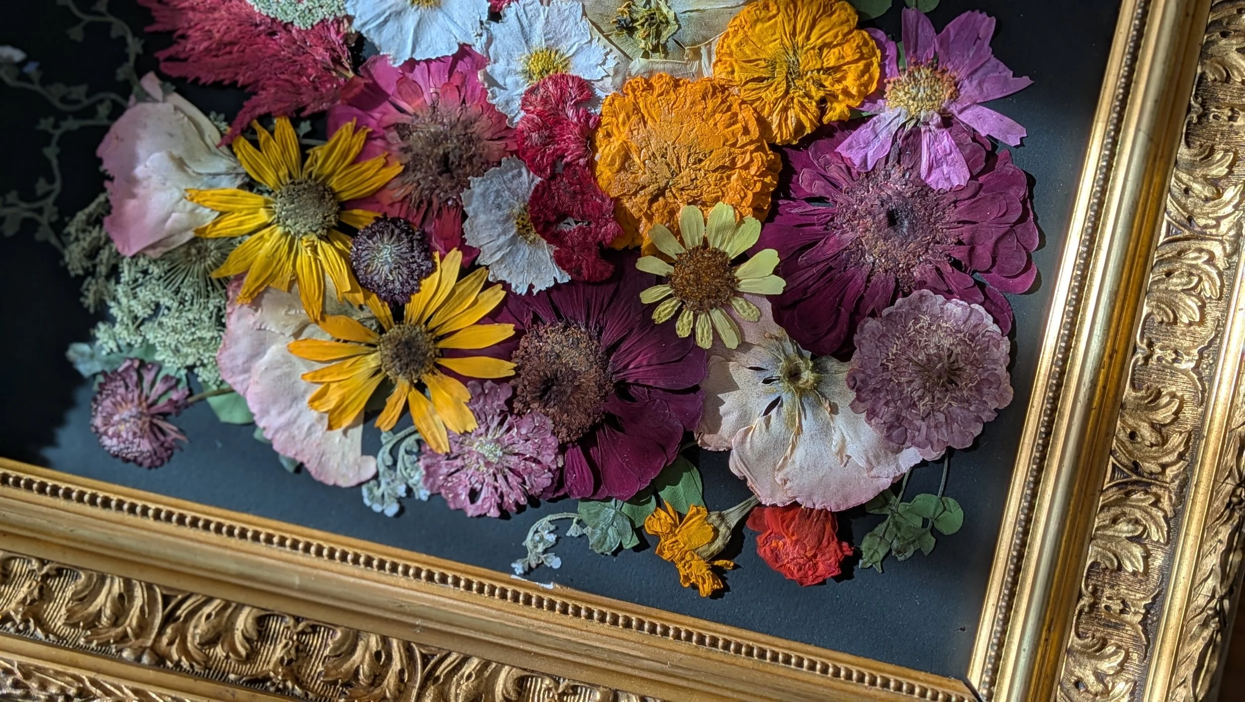 A framed arrangement of dried colorful flowers including yellow daisies, pink and purple hydrangeas, and orange marigolds, on a black background.