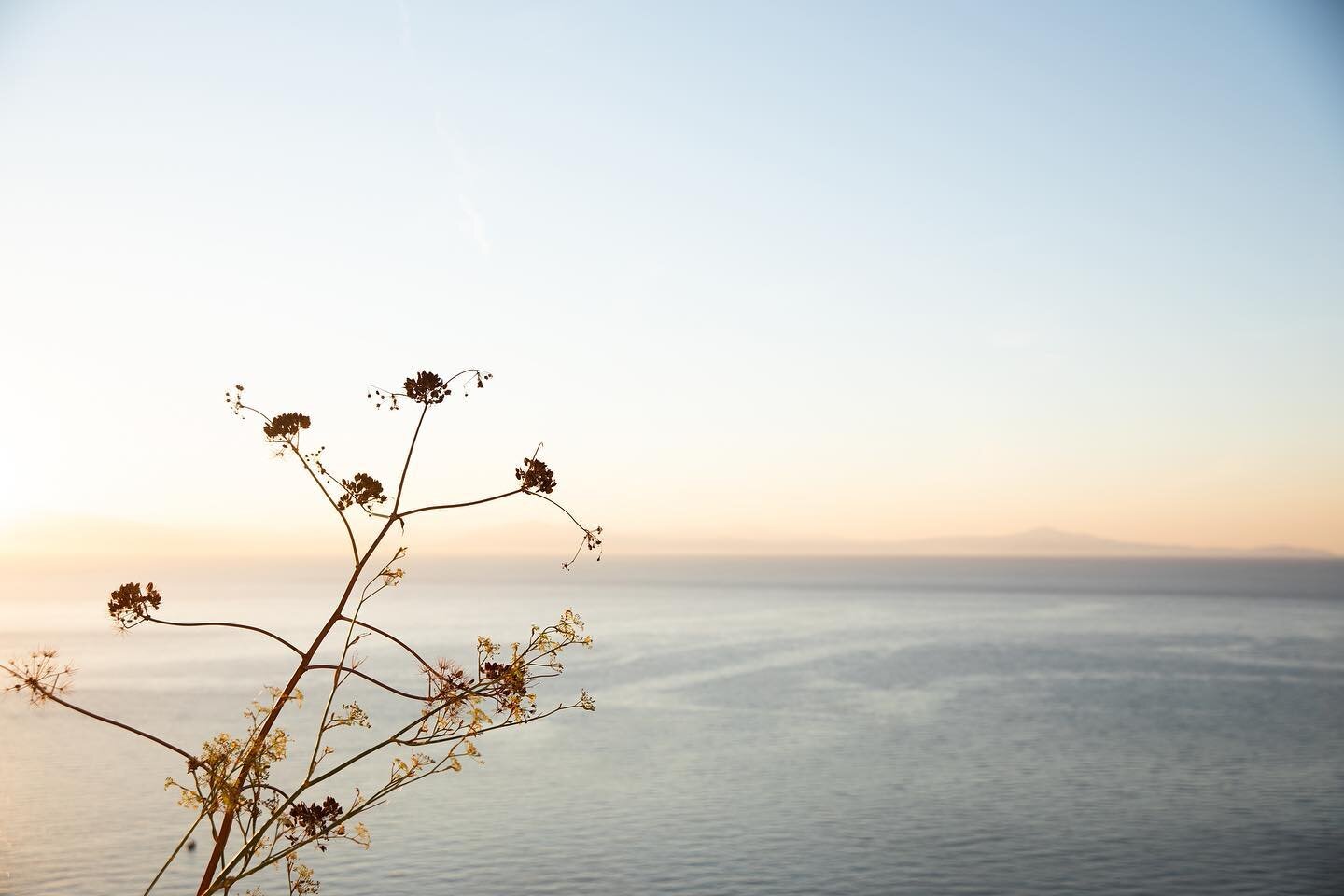 🌾 photo @sadie_dayton 
.
.
.
#colorinspiration #mothernature #tyrrheniansea #amalficoast #slowliving #amalfi #italy