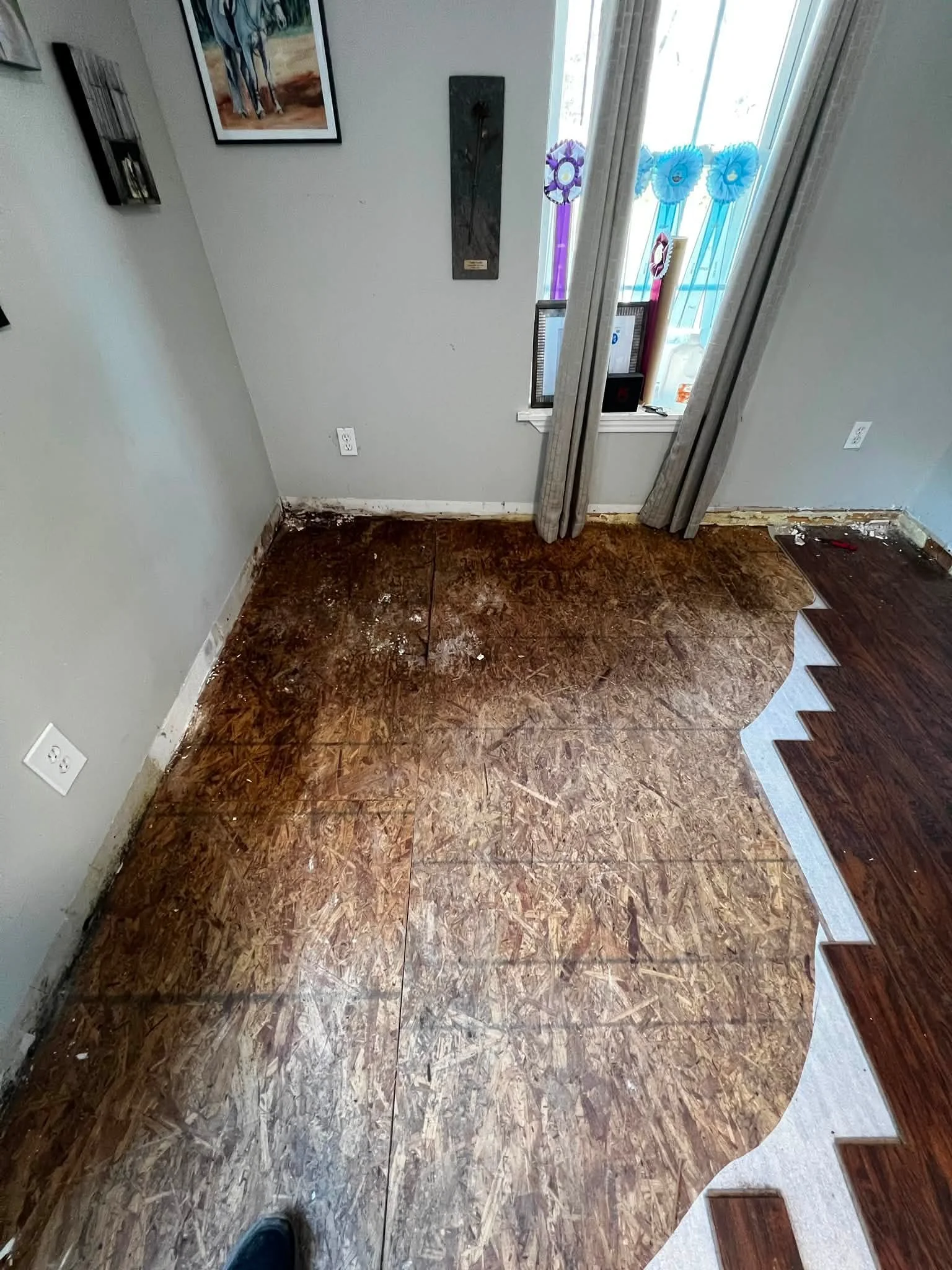 Room with partially removed flooring, showing plywood subfloor. Light-colored walls, some wall decorations, a window with curtains, and boxes and items on the window sill.