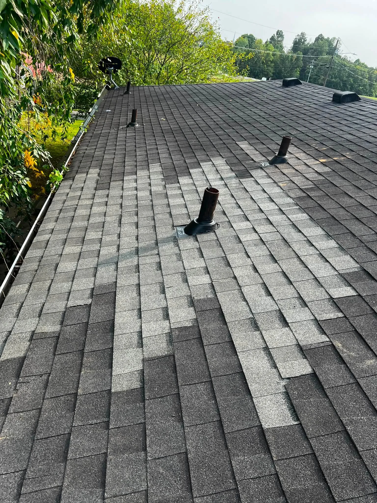 Close-up view of a gray shingled roof with several black vents protruding from the surface. A ladder is leaning against the roof, with some nearby tree branches visible on the left side and a background of trees and sky.