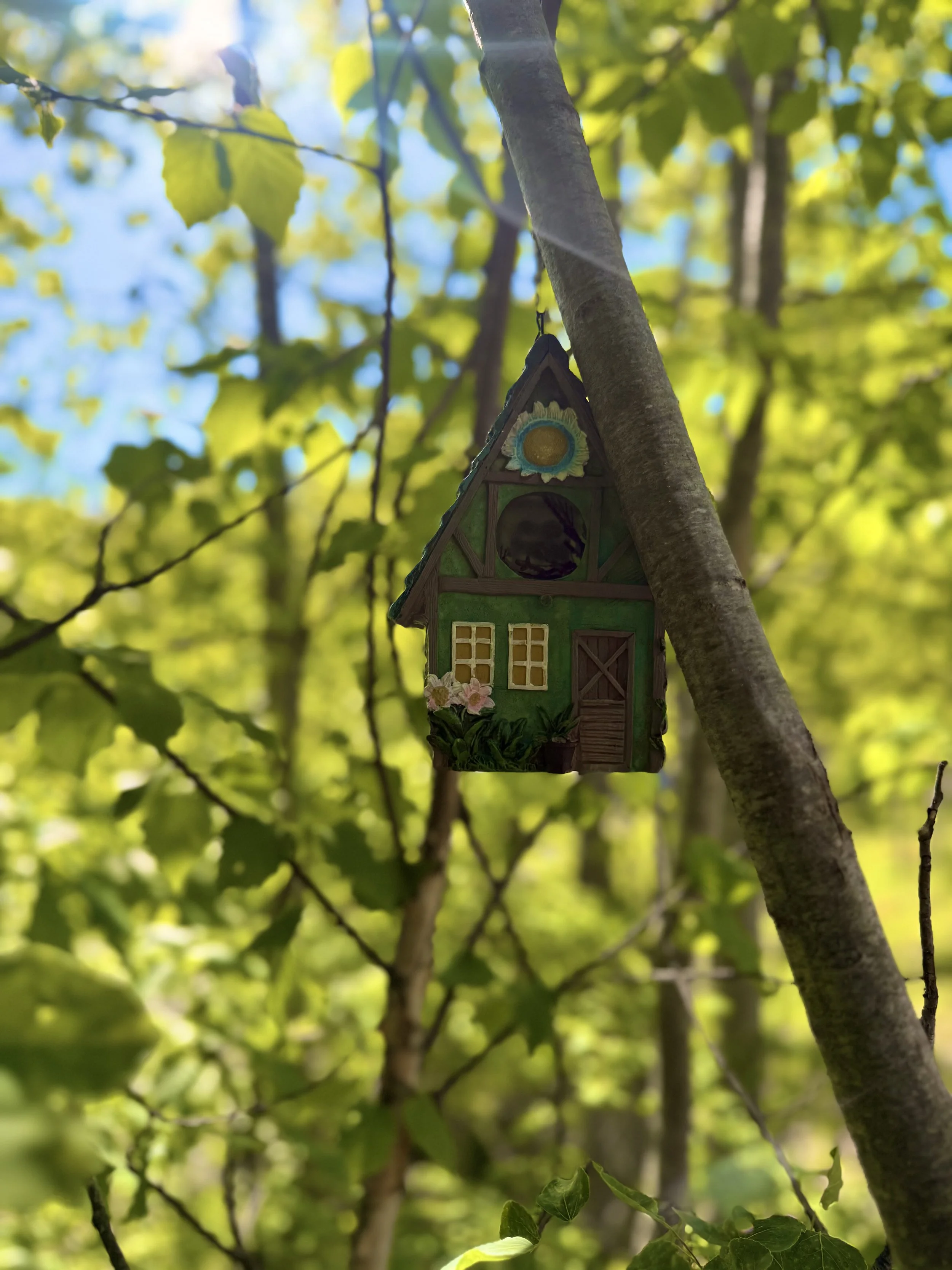 🌞 Wander scenic grounds filled with wildlife, gardens, and quiet corners to reconnect with nature near Belleayre. 🦋