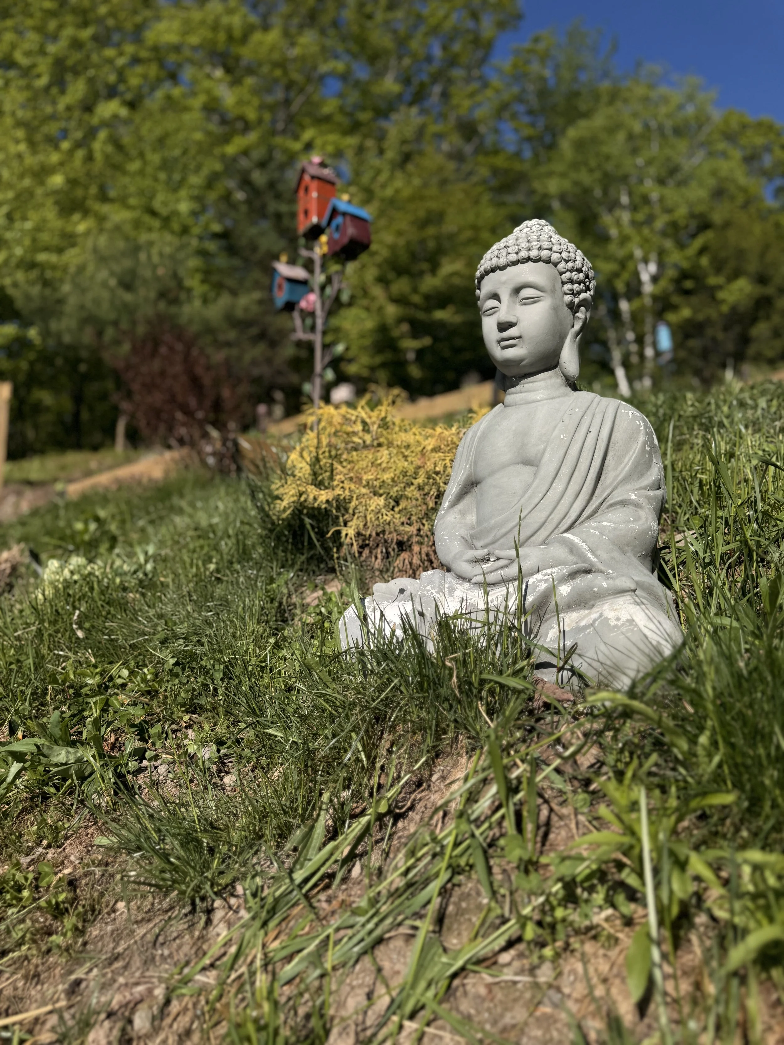 🧘 Serene meditation garden invites moments of reflection, mindfulness, and relaxation in the heart of the Catskills. ✨