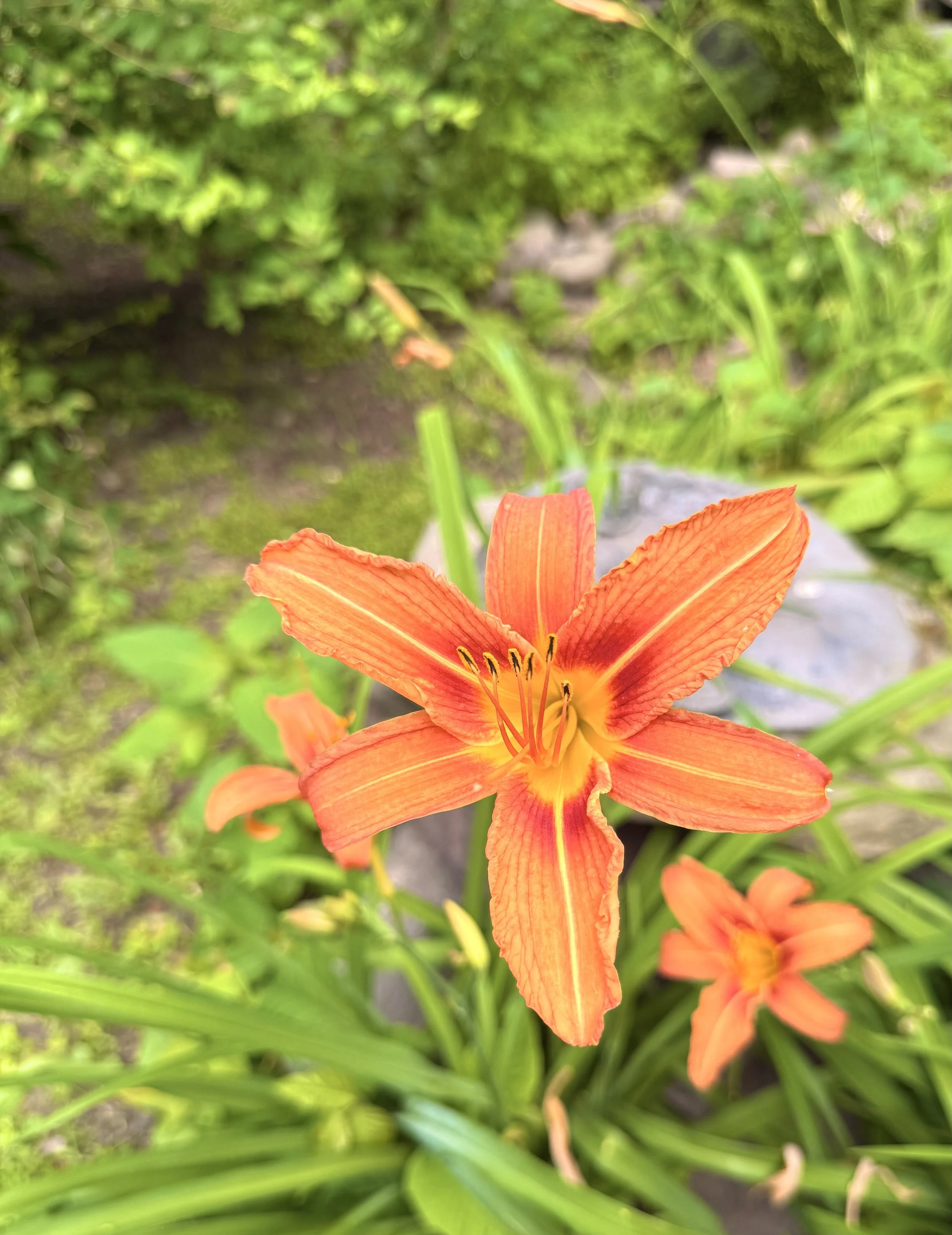 🌺 Enjoy colorful Catskills gardens that surround the lodge, creating a peaceful setting throughout the seasons. ☀️