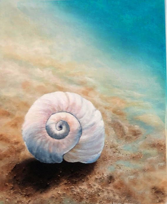 MoonSnailShell.jpg