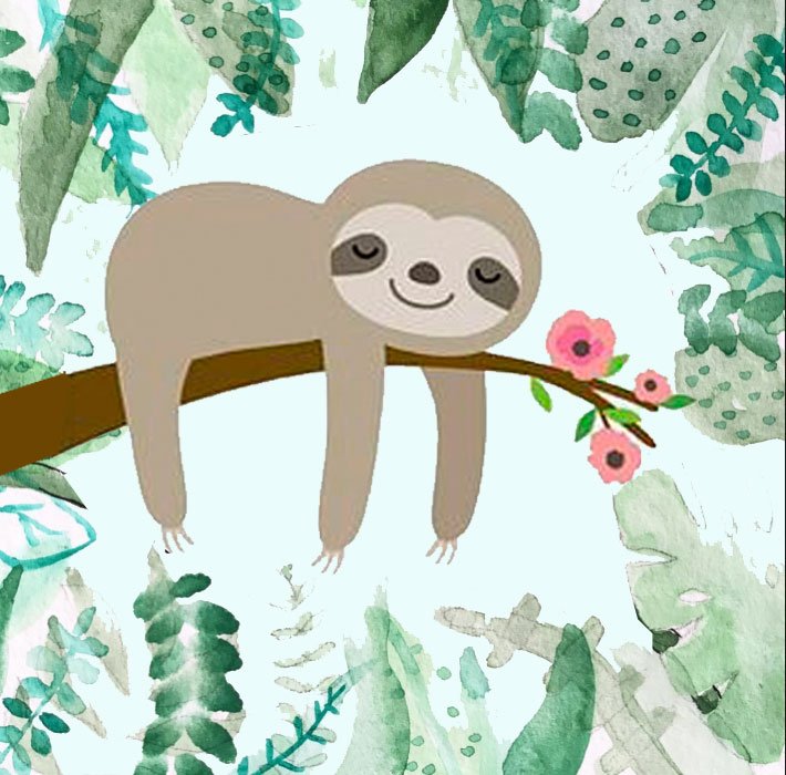 sleepySloth.jpg
