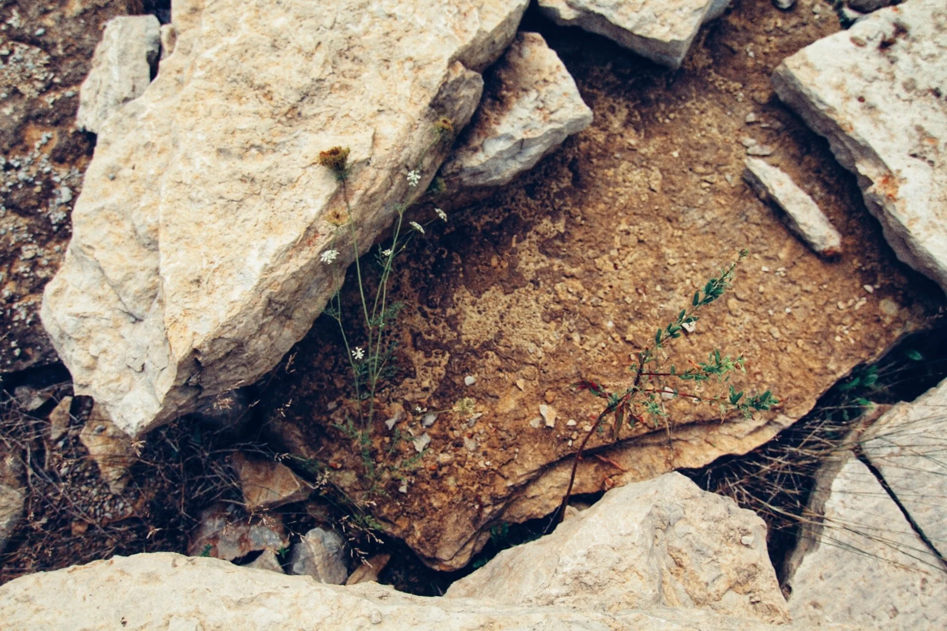 Natural Stone II.jpg