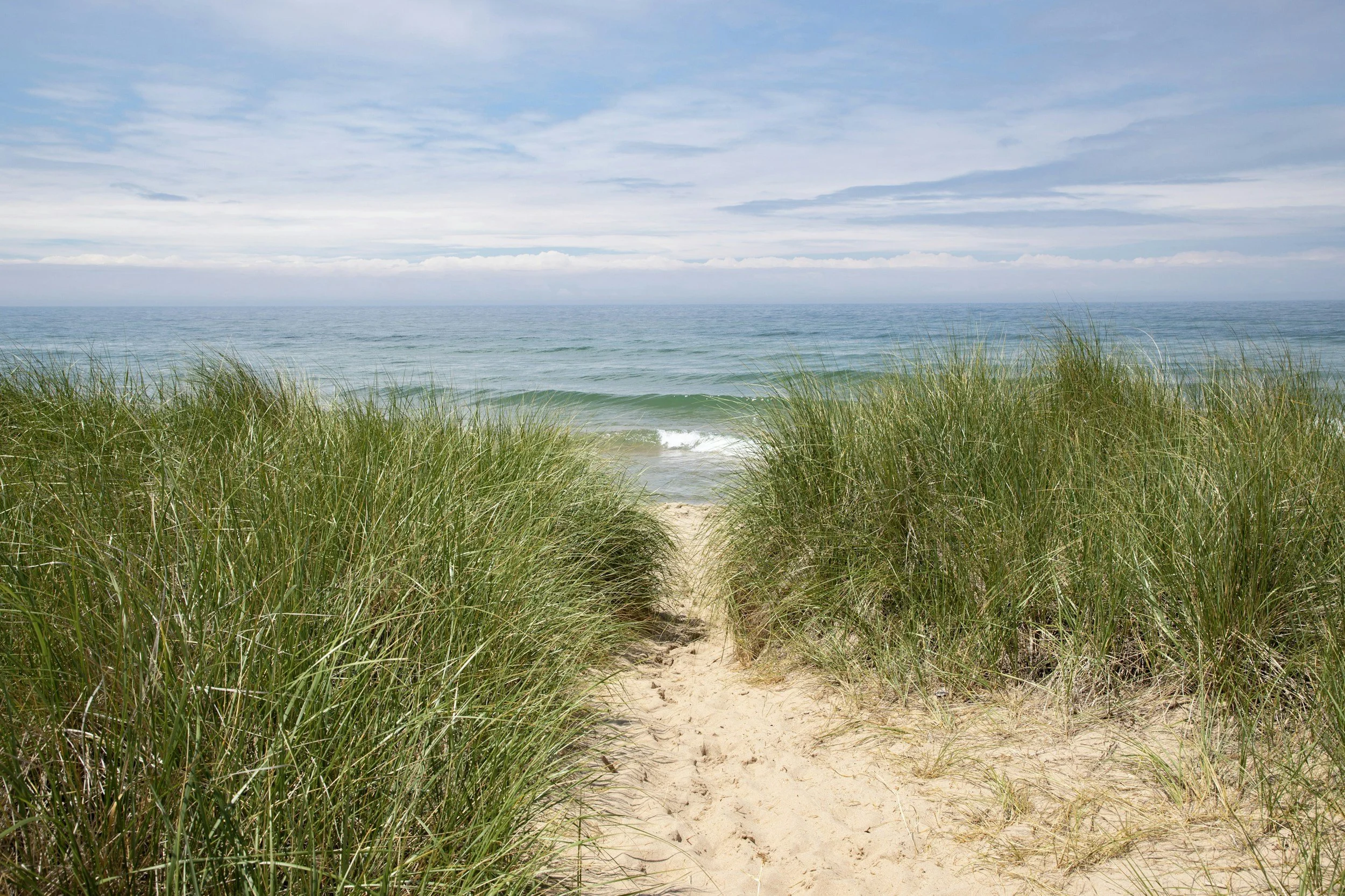 Lake Michigan shoreline with grasses and water