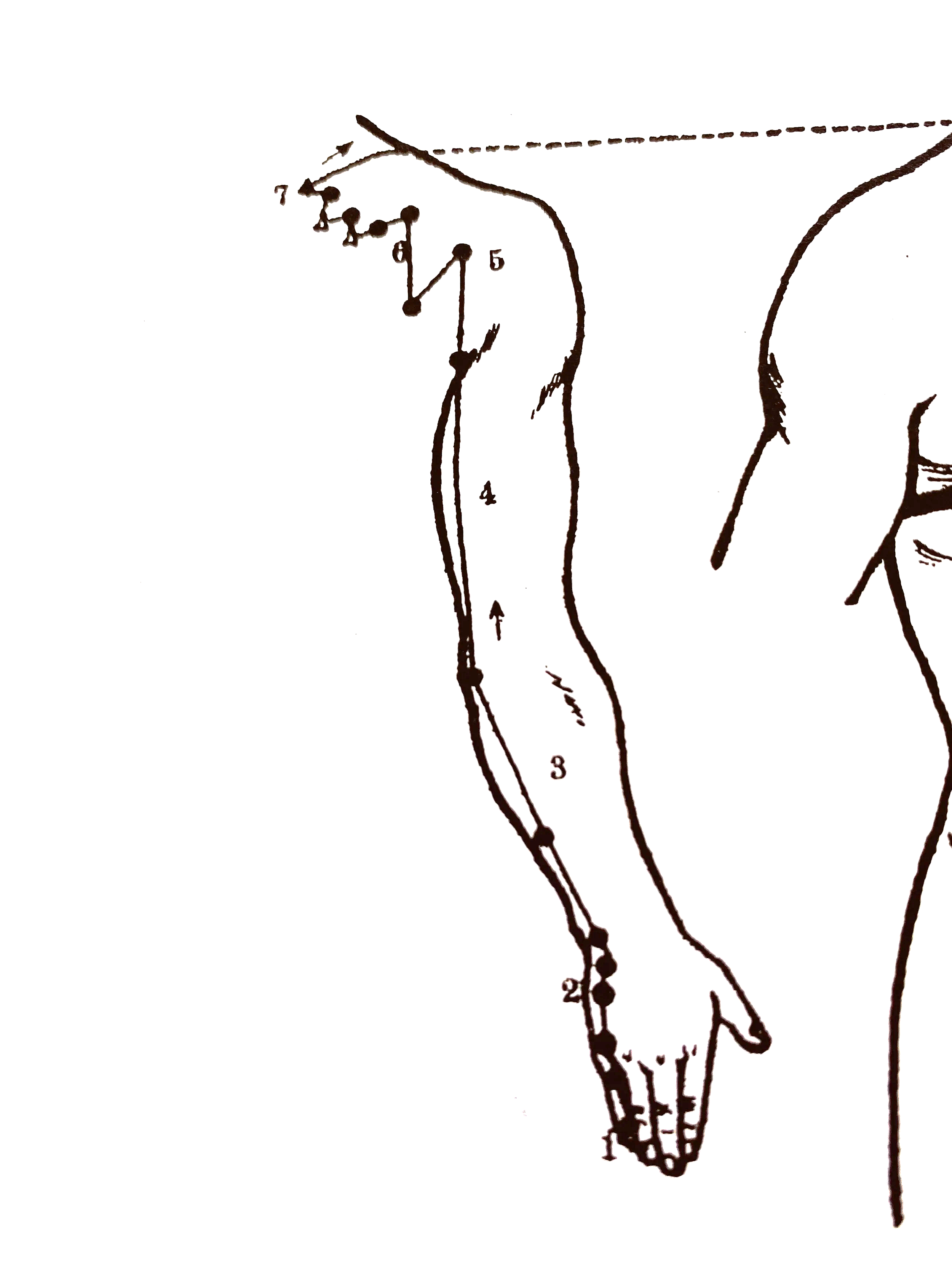 FFFBDF51-2BDE-4B37-96BC-A33C88389FA8.png