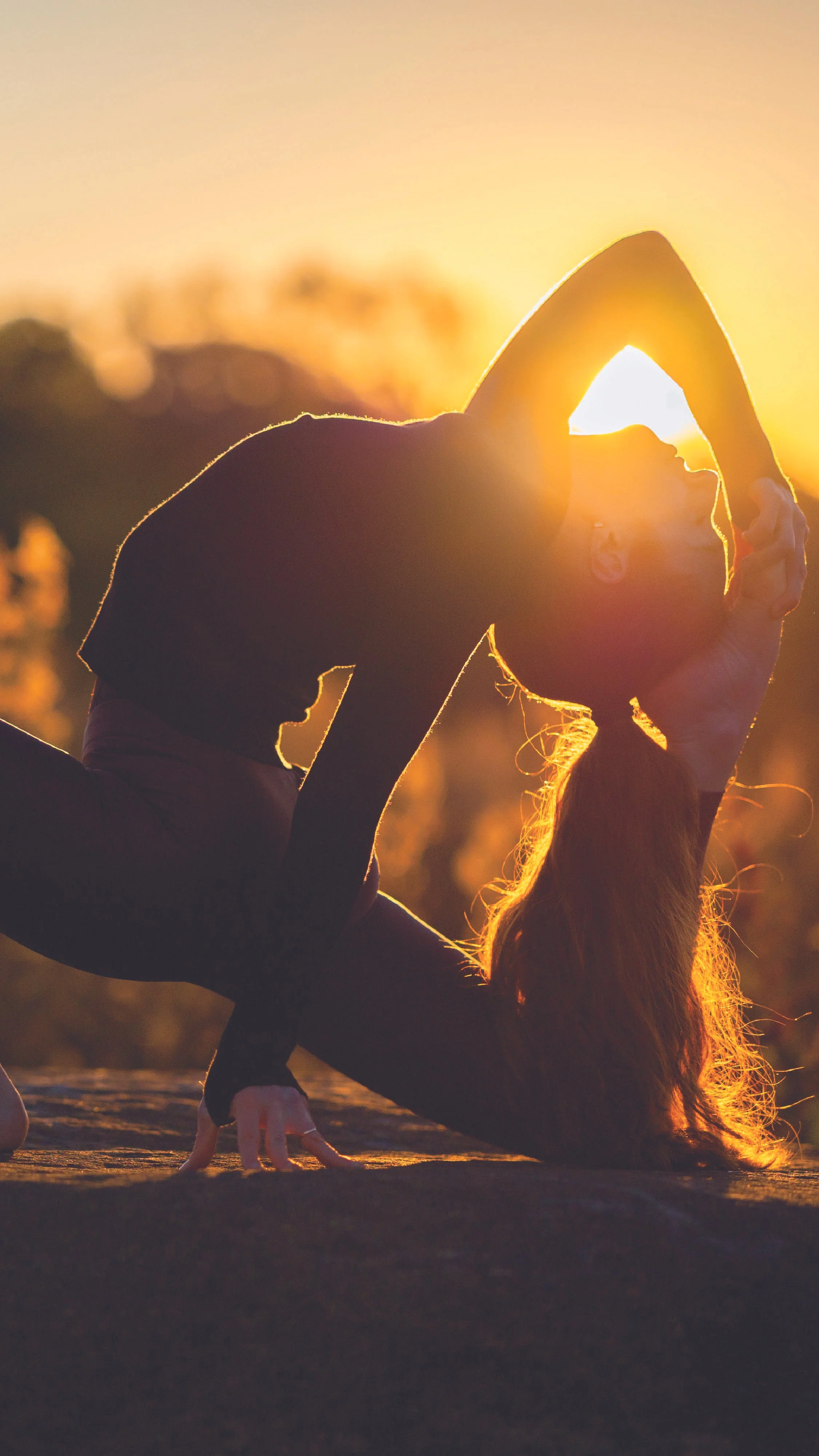 AlignYoga_GraphicStories_V_PicnicPoint3_Resize.jpeg