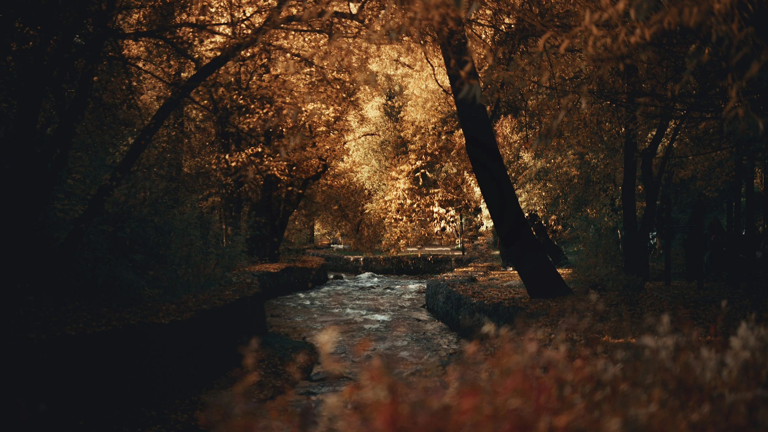 unsplash-image-X_pw7VweC00.jpg